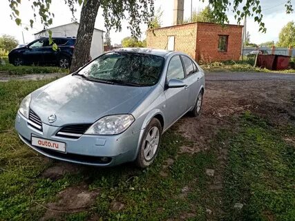 Примера 2004