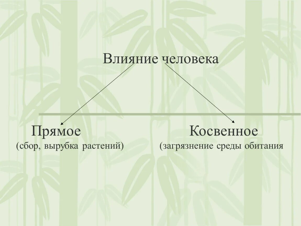 Приведите примеры прямого и косвенного воздействия. Прямое воздействие человека на растения. Прямое и косвенное влияние человека на природу. Прямое и косвенное воздействие организмов на растения. Косвенное и прямое влияние человека.