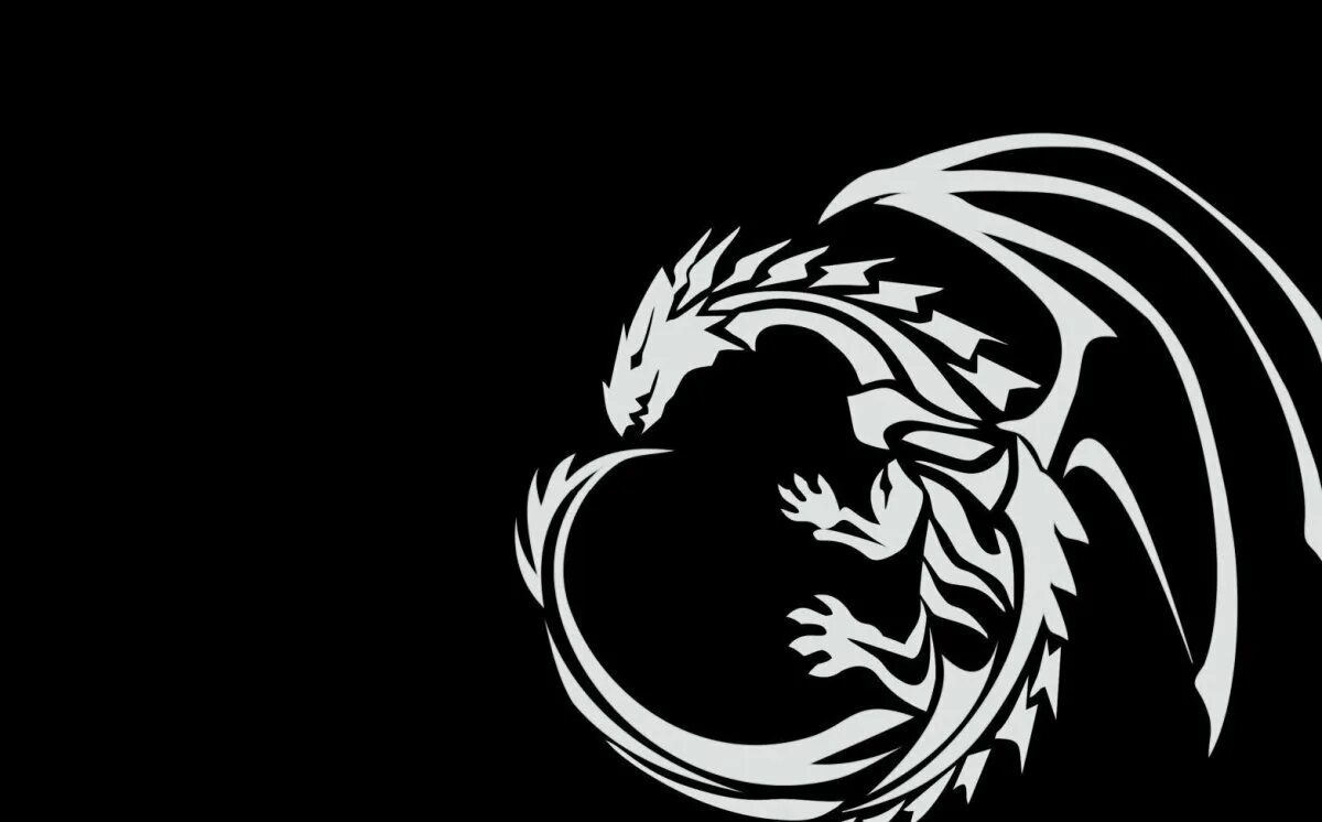 Обои черный дракон. Дракон на черном фоне. Белый дрон на чёрном фоне. Дракон черно белый. Белый дракон на черном фоне.