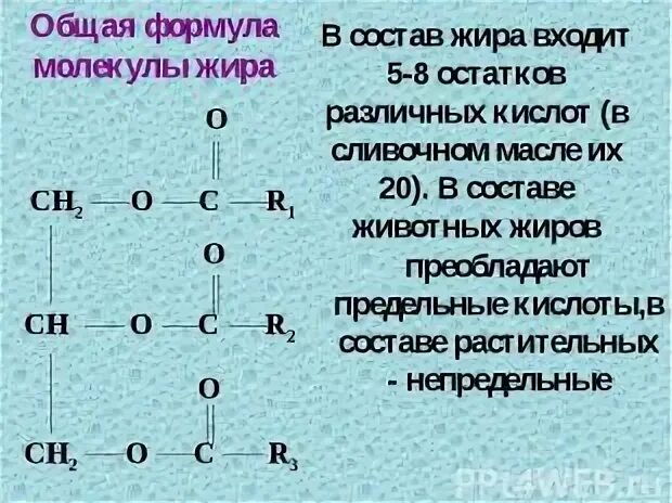 Общее название жиров. Общая формула жиров. Общая структурная формула жиров. Молекула жира формула. Формулы жиров и их названия.