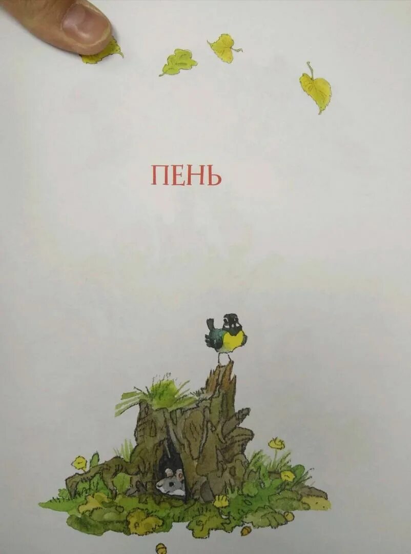 Пришвин иллюстрации к произведениям. Сказка старый пень катаев. Сказка старый пень катаев. Пень рассказ катаева. Пень рассказ катаева.