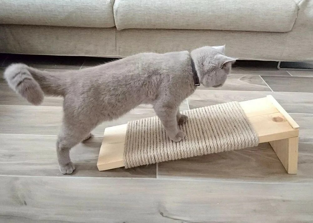 Cat scratcher. Когтеточка для кошек. Чесалка для кошек для когтей. Когтеточка для кошек напольная. Когтеточки напольные для кошек.