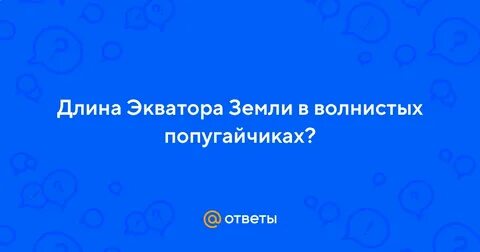 Сколько метров длина экватора