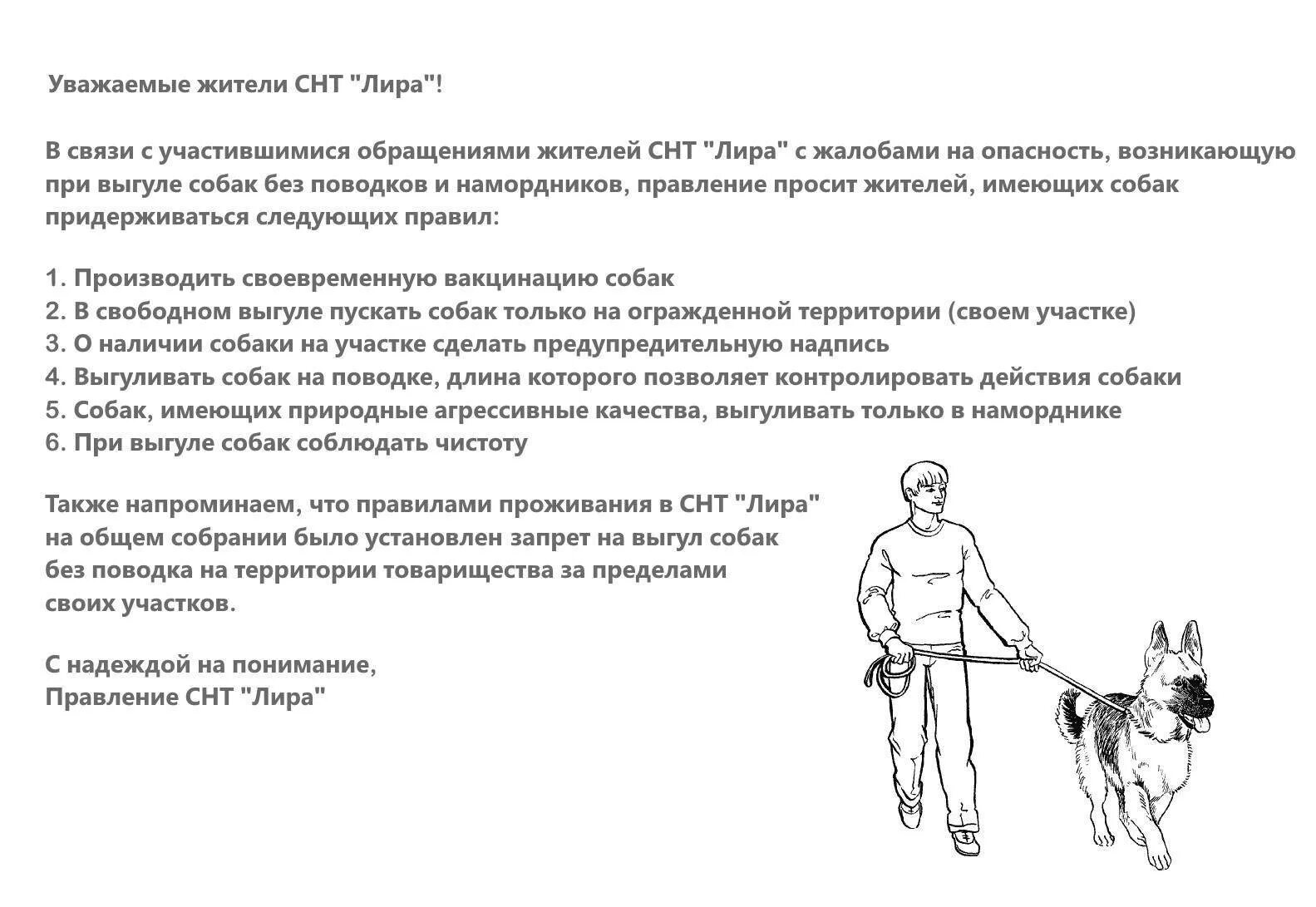 Правила выгула собак. Правила содержания домашних животных. Правила содержания собак. Выгул собак без поводка. Ответственное содержание животных