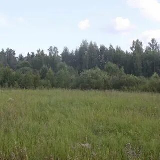 Участок 1500