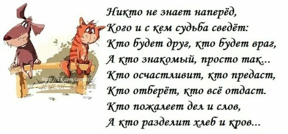 Стишок про жизнь. Стихи о жизни прикольные. Фразы со смыслом. Веселые стихи о жизни. Смешные стихи про жизнь.