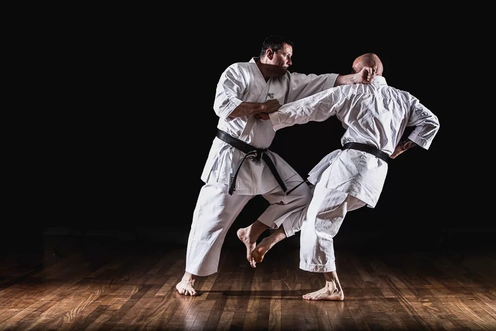 боевые искусства обновление. самое сильное боевое искусство в мире. каратэ jka кумитэ. хакама кобудо. восточные боевые искусства.