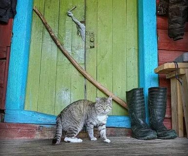Сторожил дом
