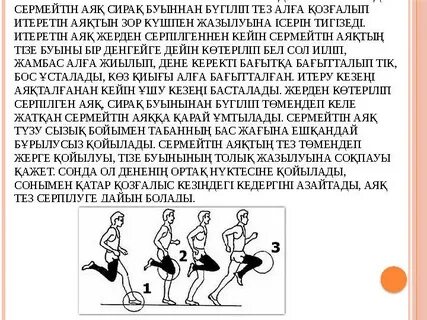 Жеке жезөкшелер топтамасындағы үлкен сиськи