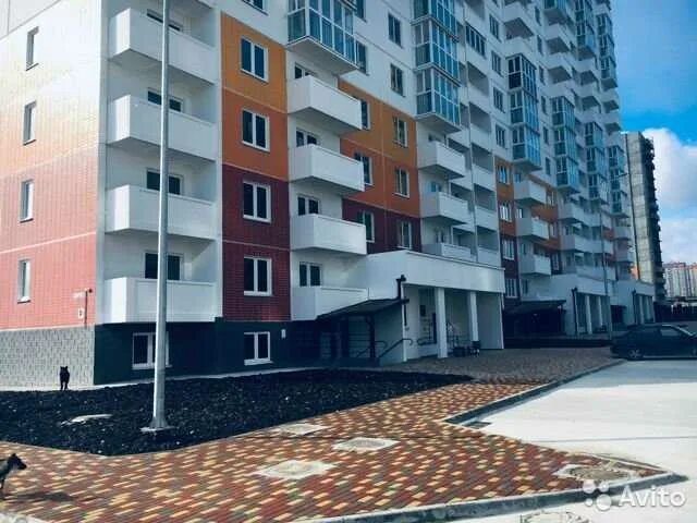 Новороссийск алексино жилье