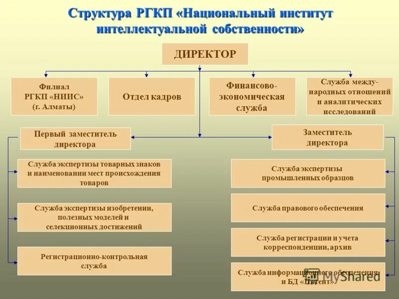Структура интеллектуальной собственности. Состав и структура интеллектуальной собственности.. Структура интеллектуальной собственности в России.