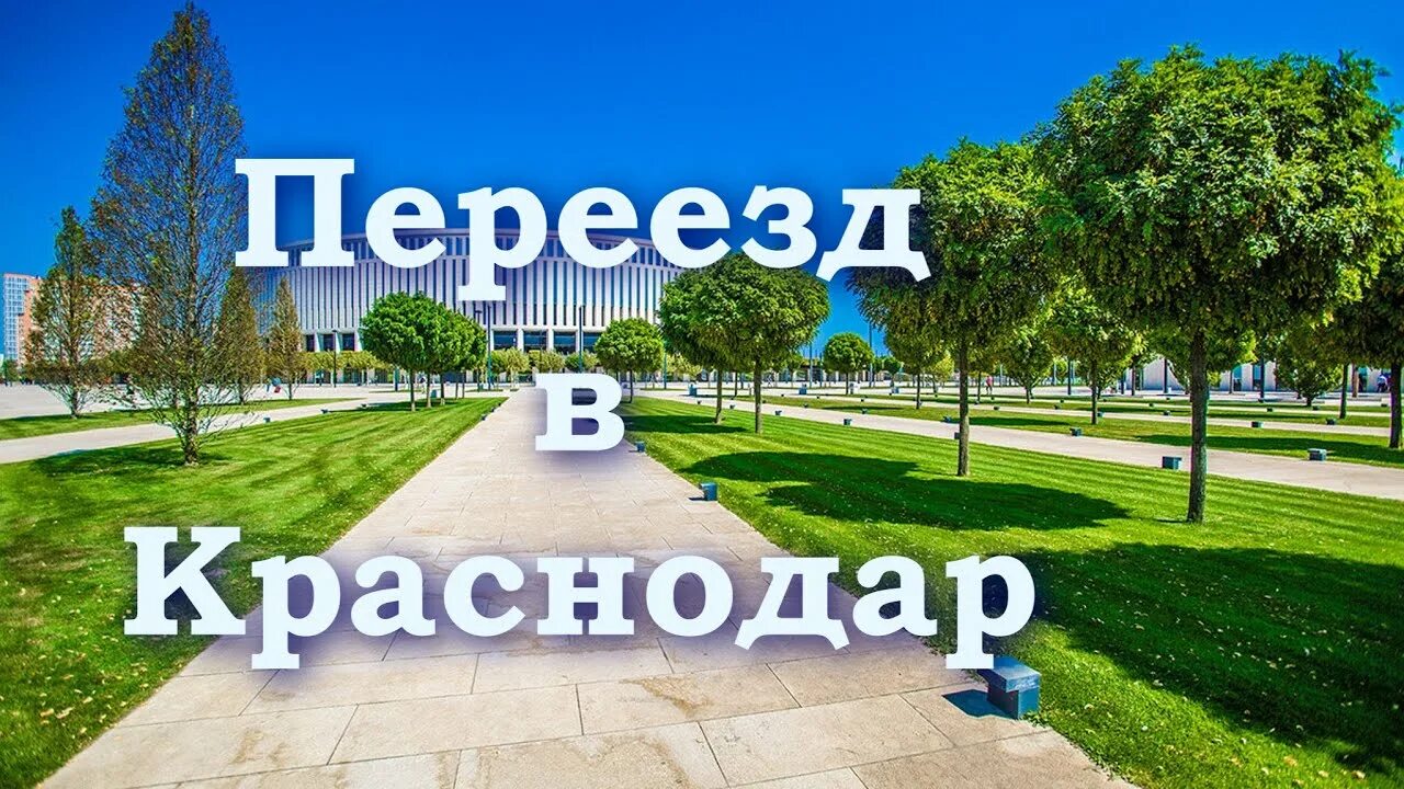 Переезд в Краснодар. Краснодар плюсы и минусы. Плюсы Краснодара. Краснодар плюсы и минусы переезда. Mimi boom