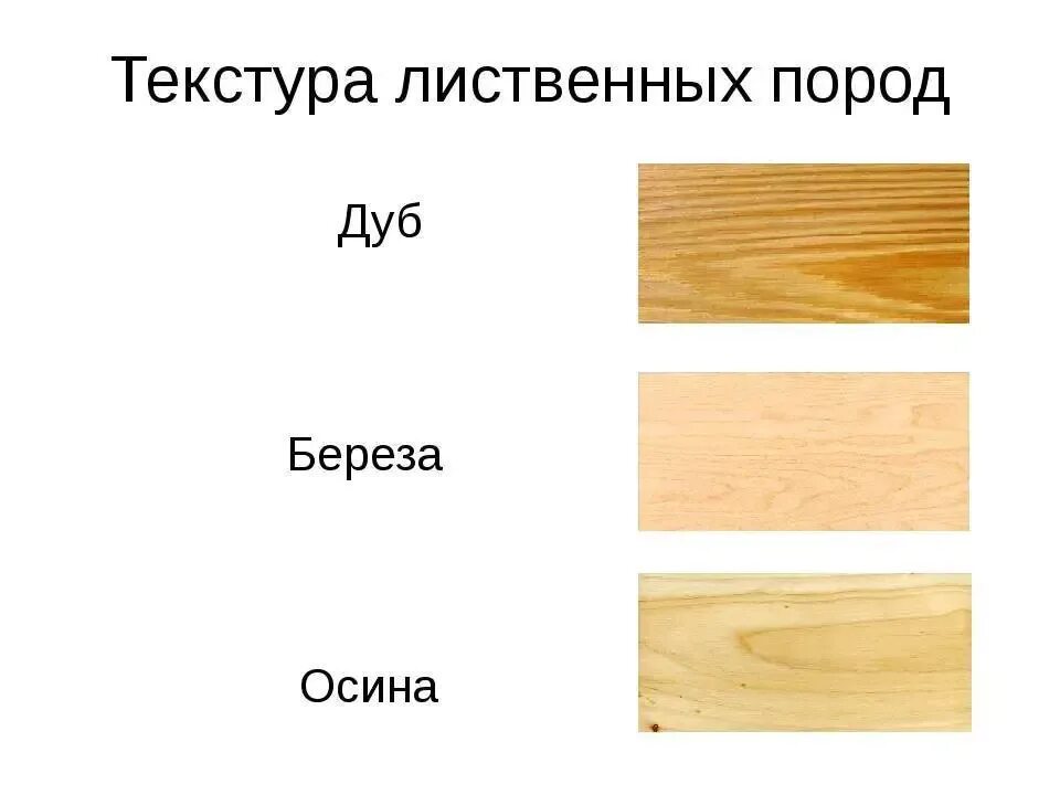 Доски из какого дерева