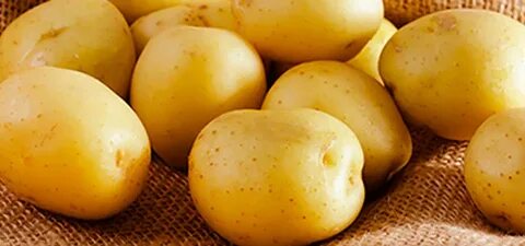 Желтые сорта картофеля