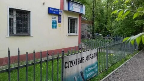 Пушкино горького 2