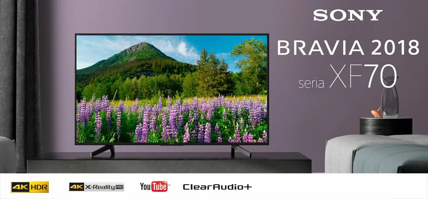 Бюджетные телевизоры 2024. Телевизор Sony KD-49xg7096. Bravia Sony KD-49xg7096. 55xf7096 Sony. Телевизор 49" Sony KD-49xg7096.