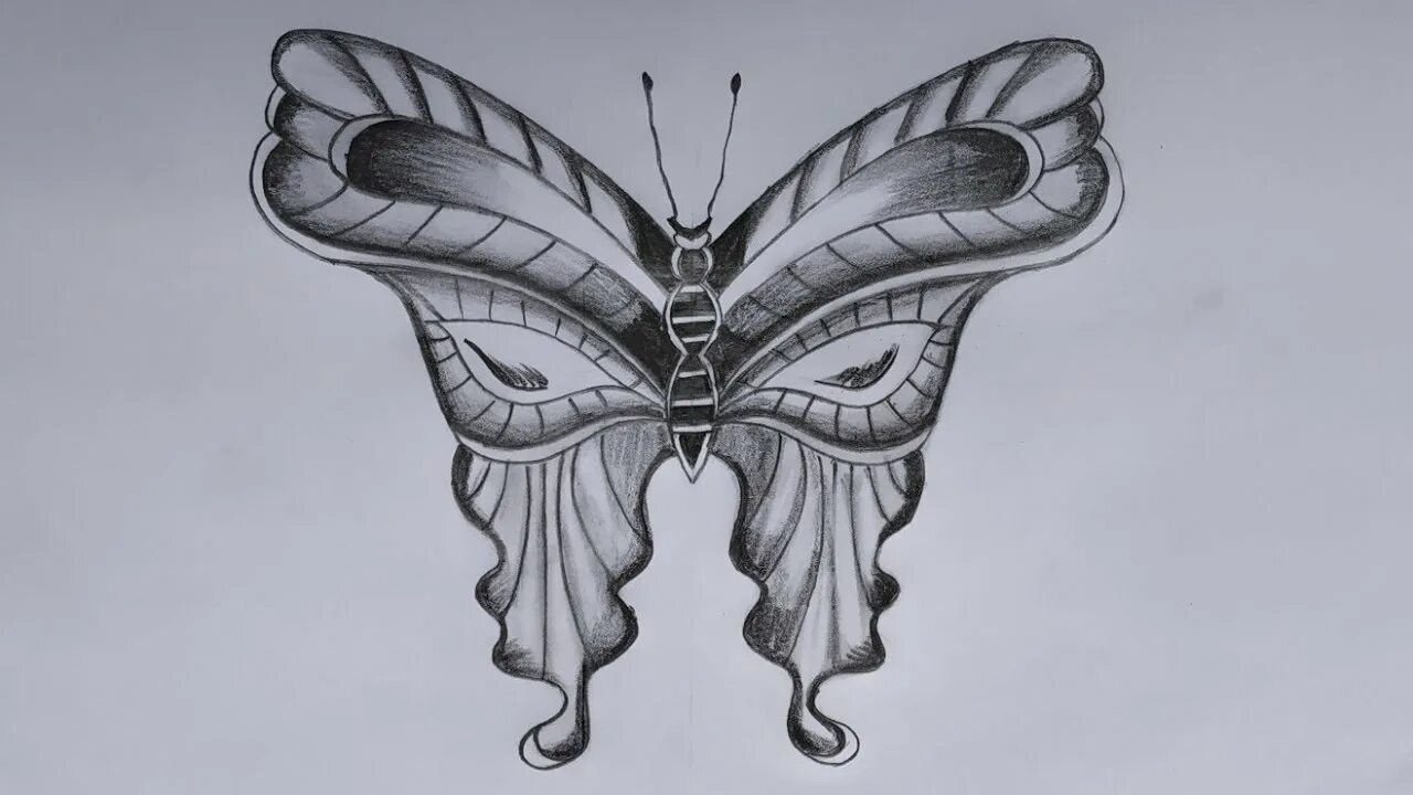 Простые крылья бабочки. Бабочка эскиз. Бабочка скетч. Крылья бабочки эскиз. Бабочка набросок карандашом.
