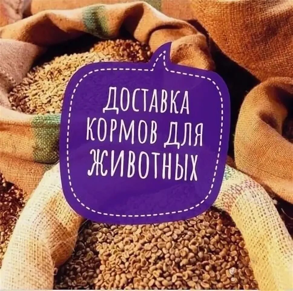Поставки кормов для животных