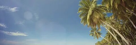 Summer 6