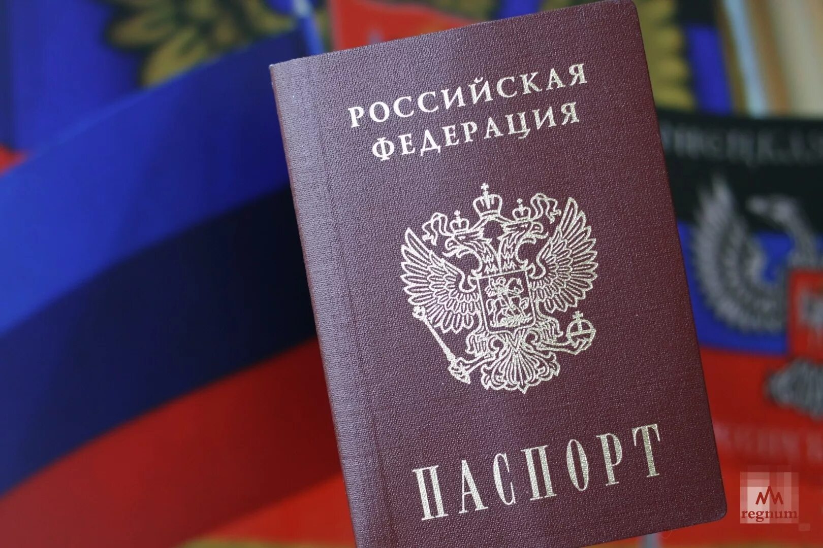 Паспортный рф. О гражданстве РФ.