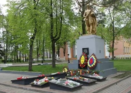 Сосновый бор гомельская область