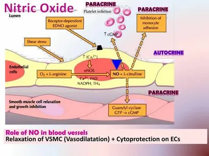 Nitric oxide