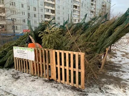 Посадка красноярск