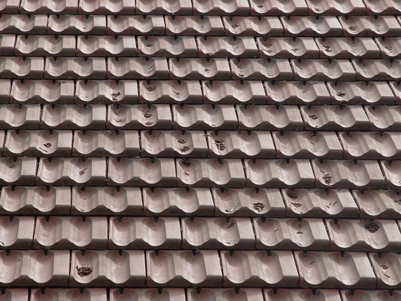 Кровельная черепица «Roofing Tiles». Черепица вектор. Андо черепица. Черепица Чжоу.