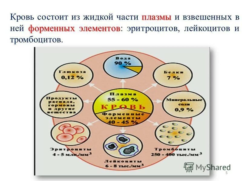 Кровь состоит из плазмы и форменных элементов. Что состоит из плазмы и форменных элементов. Кровь плазма и форменные элементы крови. Что состоит из плазмы и форменных элементов. Что состоит из плазмы и форменных элементов.