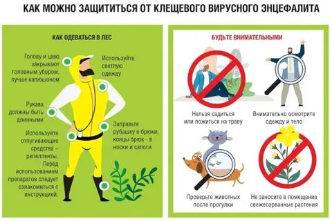 Клещевой энцефалит после укуса