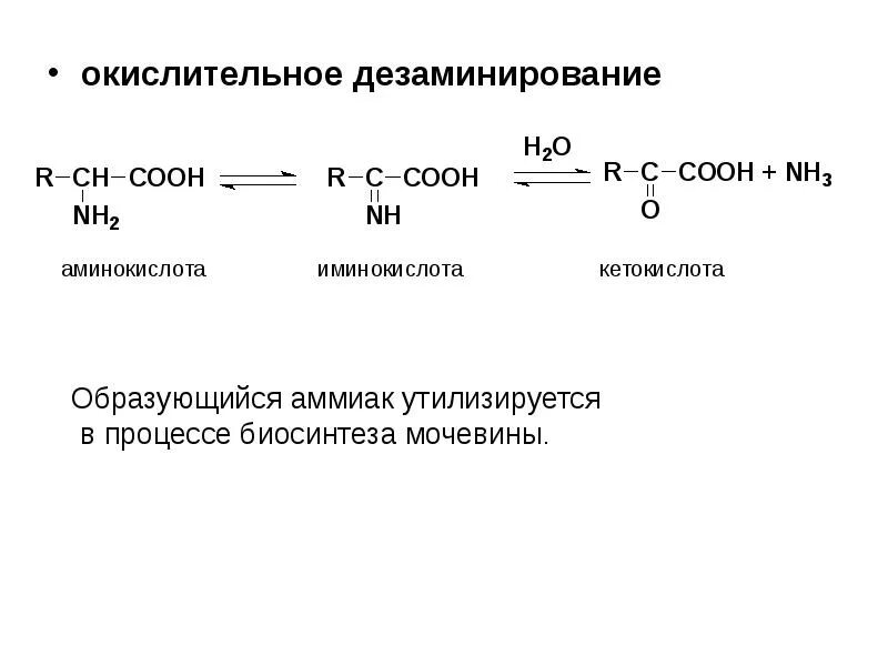 Ферменты дезаминирования. Окислительное дезаминирование общая реакция. Реакция окислительного дезаминирования глицина. Общая схема реакций дезаминирования аминокислот. Реакция дезаминирования глутаминовой кислоты.