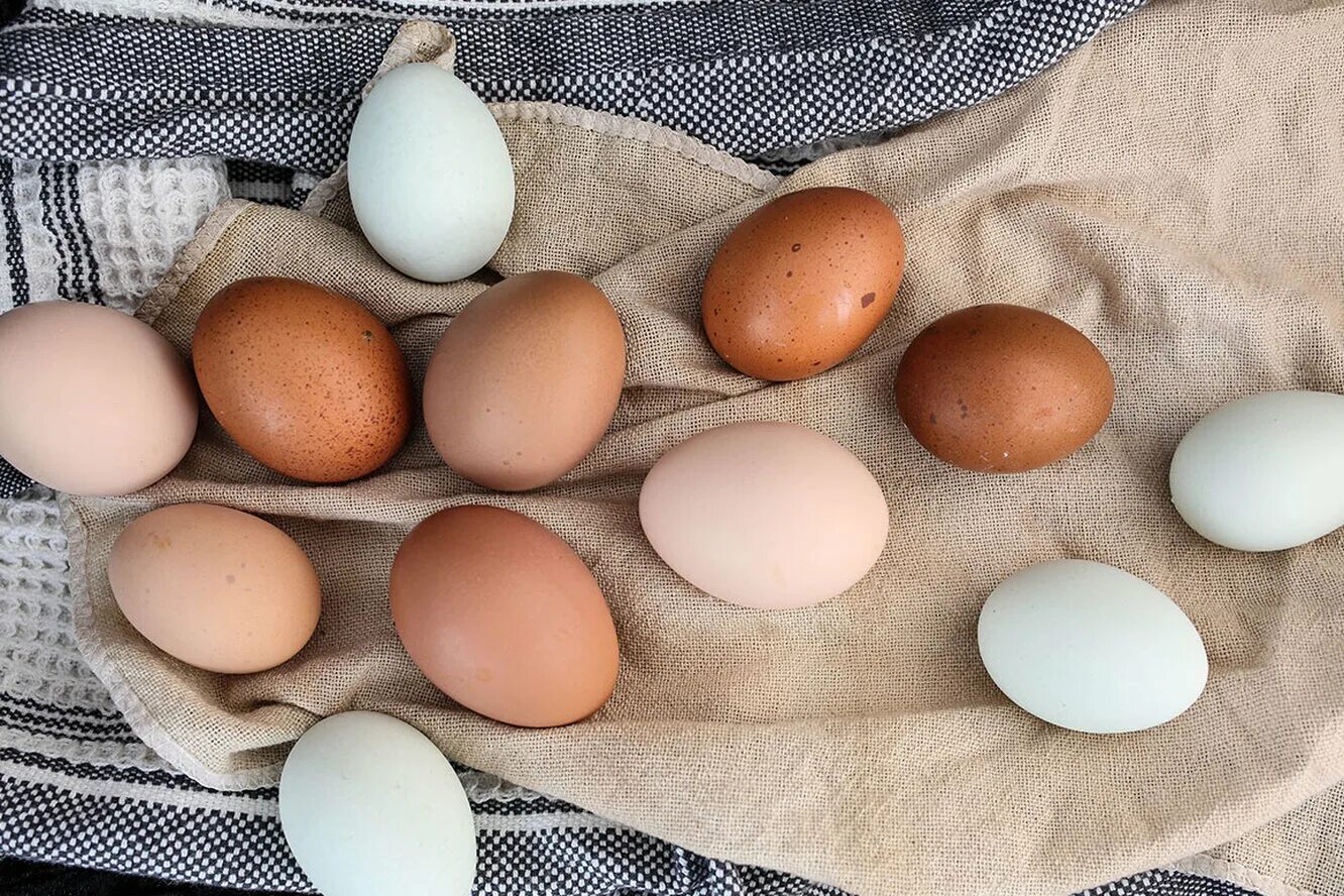 К чему снятся куру и яйца. Яйца и яичные продукты. Коричневое яйцо. Яйцо белое. Коричневые и белые яйца.