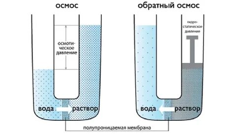 Что такое осмос