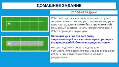 В1 клетки