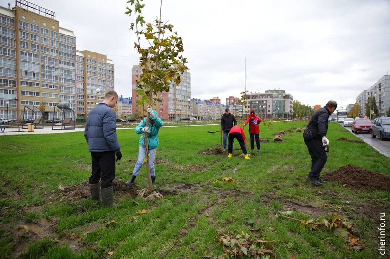 В парке 6 кленов их в 3 раза меньше чем берез сколько в парке берез. Таблички в парке. Кленовые аллеи. Задача в парке растет 40 берез количество каштанов. Вдоль дороги по бокам липы клёны тут и там.