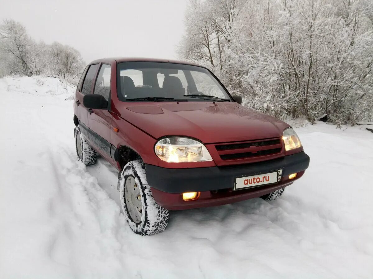 Купить шевроле бу нижний новгород. Нива 2012 год авто ру зима. Chevrolet Niva, 2011г зимние фото. Тюменская обл собаки в машине Нива Шевроле. Шевроле Нива 2005 купить бу зима.