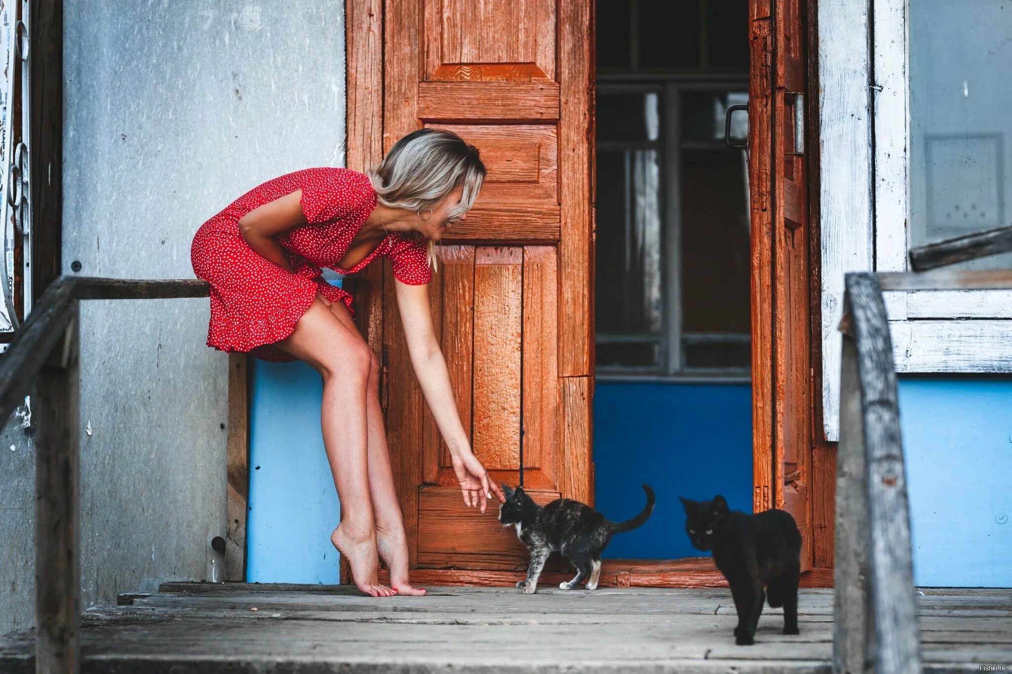 Пороге домой. Девушка кошка. Девочка с котом. Деревенская девушка с котом. Девушка с кошкой фотосессия.