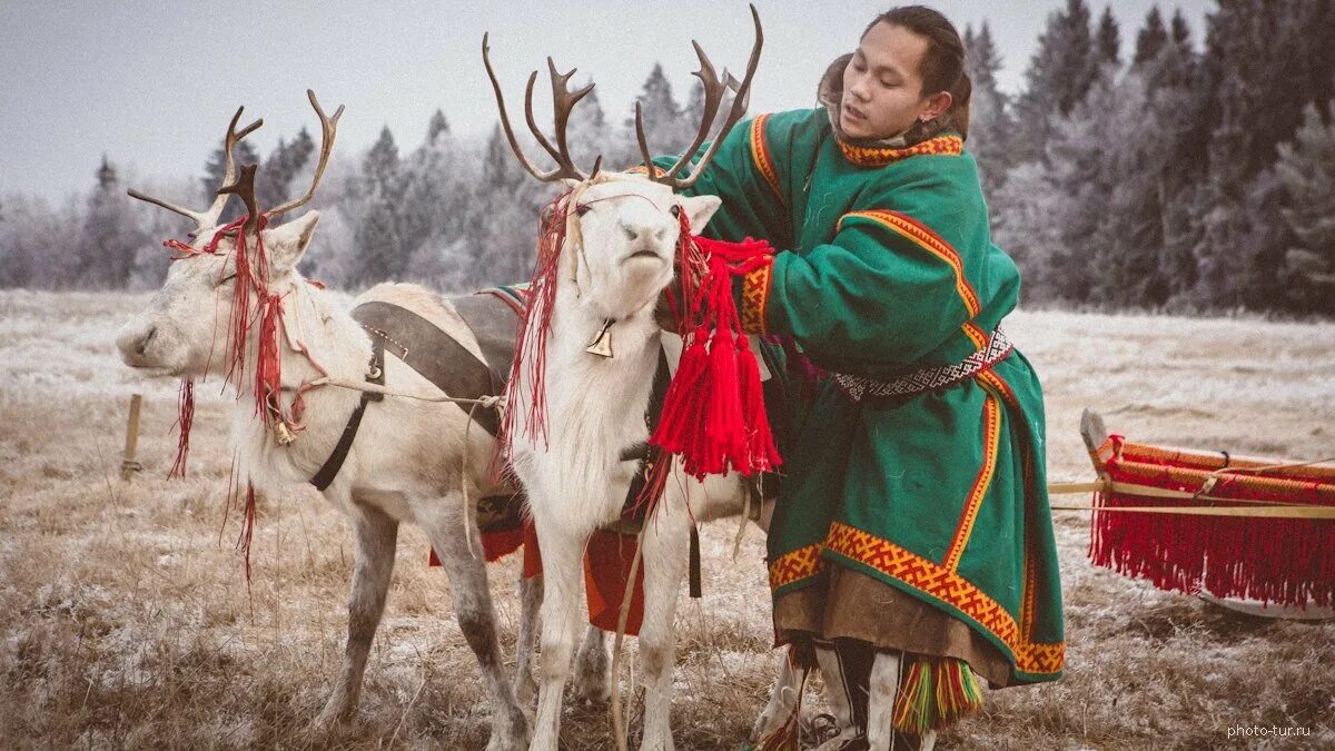 Народ европейского севера ненцы. Ненцы Ханты манси. Народы севера ненцы. Коренные народы ненцы. Народы Сибири ненцы.