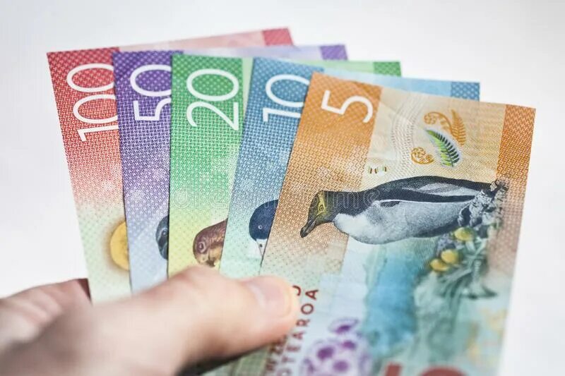 Доллар новая зеландия. Валюта новой Зеландии. Новозеландский доллар. Новозеландский доллар новые. Новозеландский доллар банкноты.