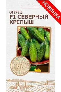 Северен огурец отзывы