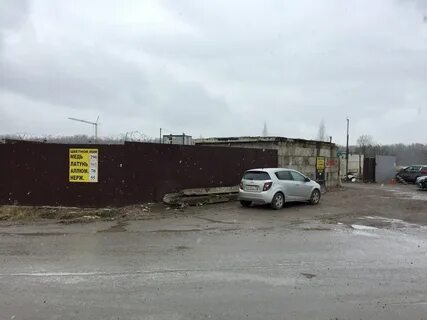 Погода янино 1