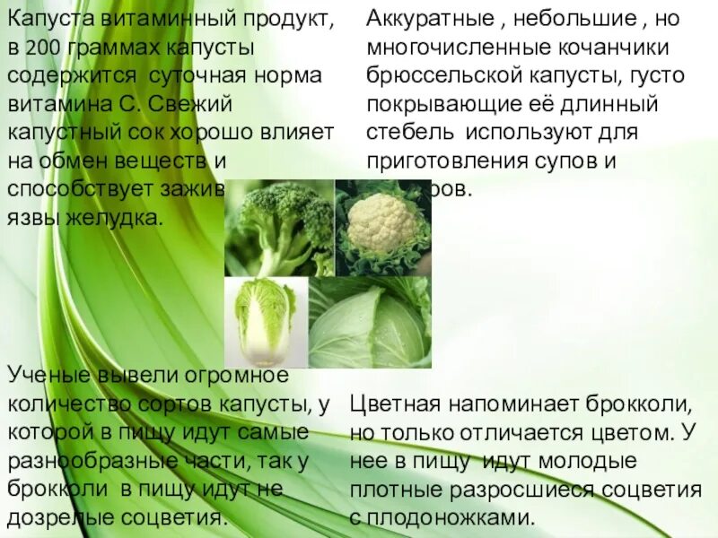 Сколько углеводов содержится в капусте