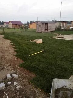 Днп усадьба