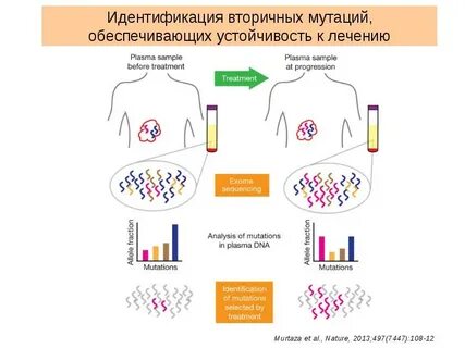 Генетические методы идентификации