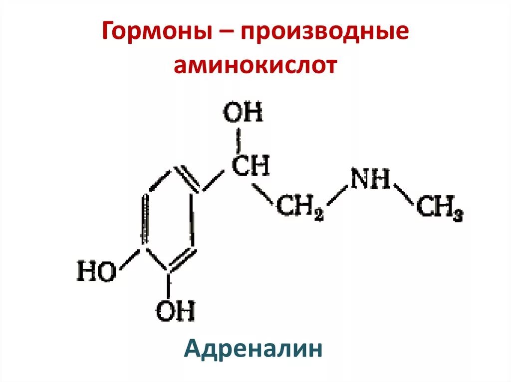 Адреналин углеводы. Гормоны являющиеся производными аминокислот. Гормоны производные аминокислот строение. Гормон являющийся производным аминокислоты. Гормоны производные аминокислот.