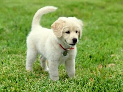 Дилдо порно бар жаттығу велосипеді