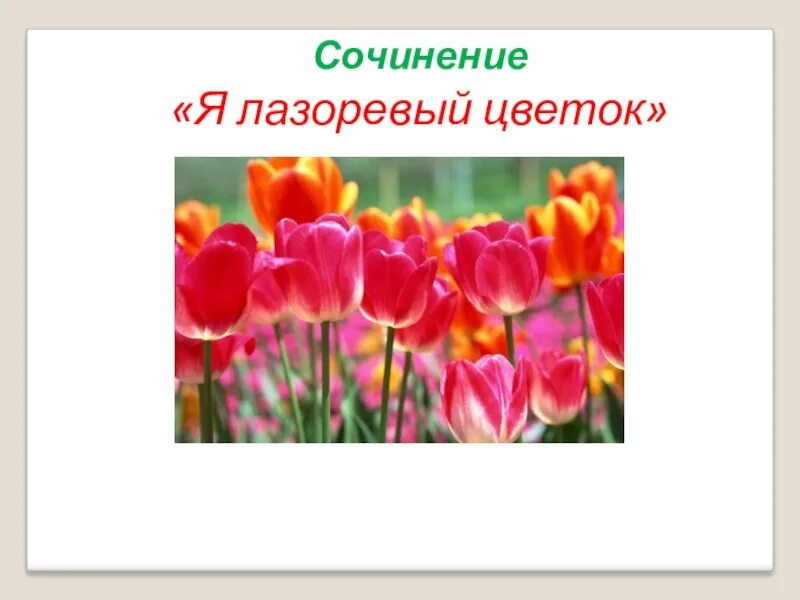 Значения слов-лазоревый, коралловый, сапфировый. Значение слова лазурь. Значение слова лазоревый. Пион тонколистный поле. Что означает лазоревы.