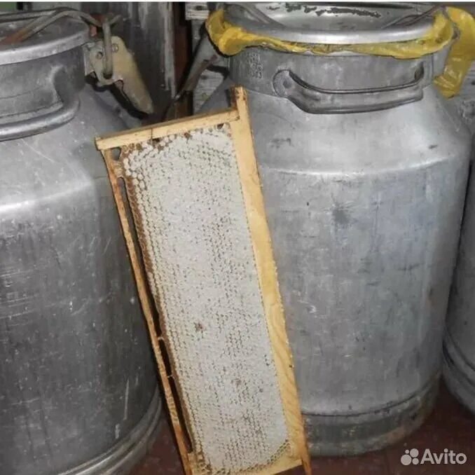 Алюминиевая фляга 25 литров ссср. Фляга алюминиевая 40. Фляга меда сколько литров. Фляга алюминиевая 40 литров литров. Фляга для меда.