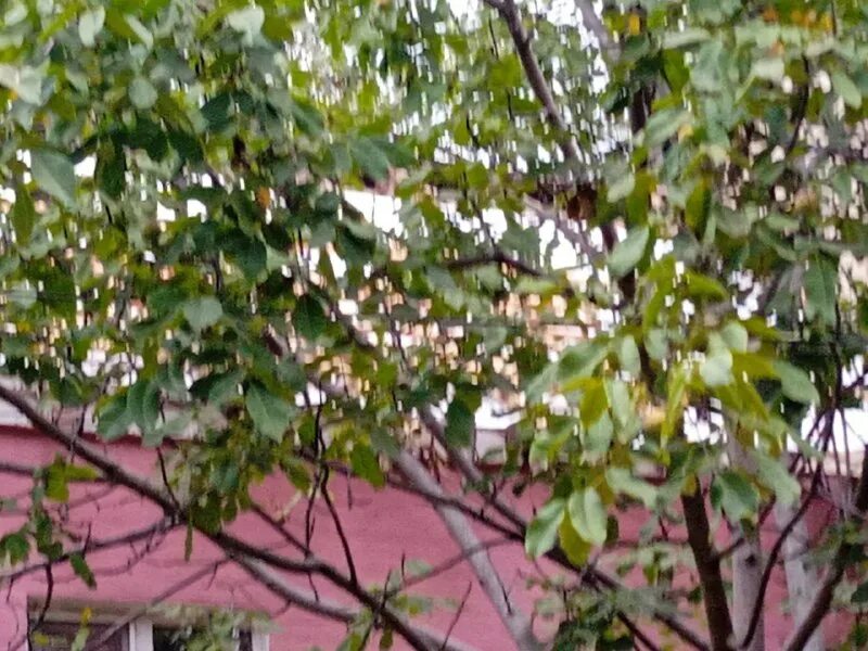 авдеевка сегодня. управляющая компания эльжибор ростов на дону. гальченко михаил юрьевич газпром добыча краснодар. томск разваленные деревянные дома. коллектив группы компаний.