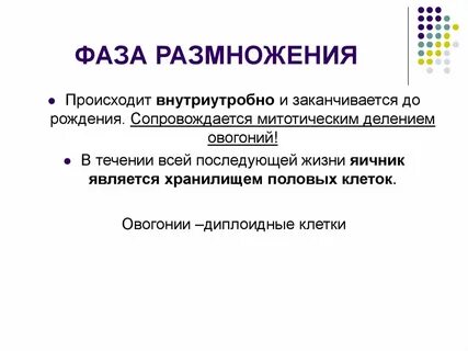 Полярное тельце результат фазы размножения овоцит